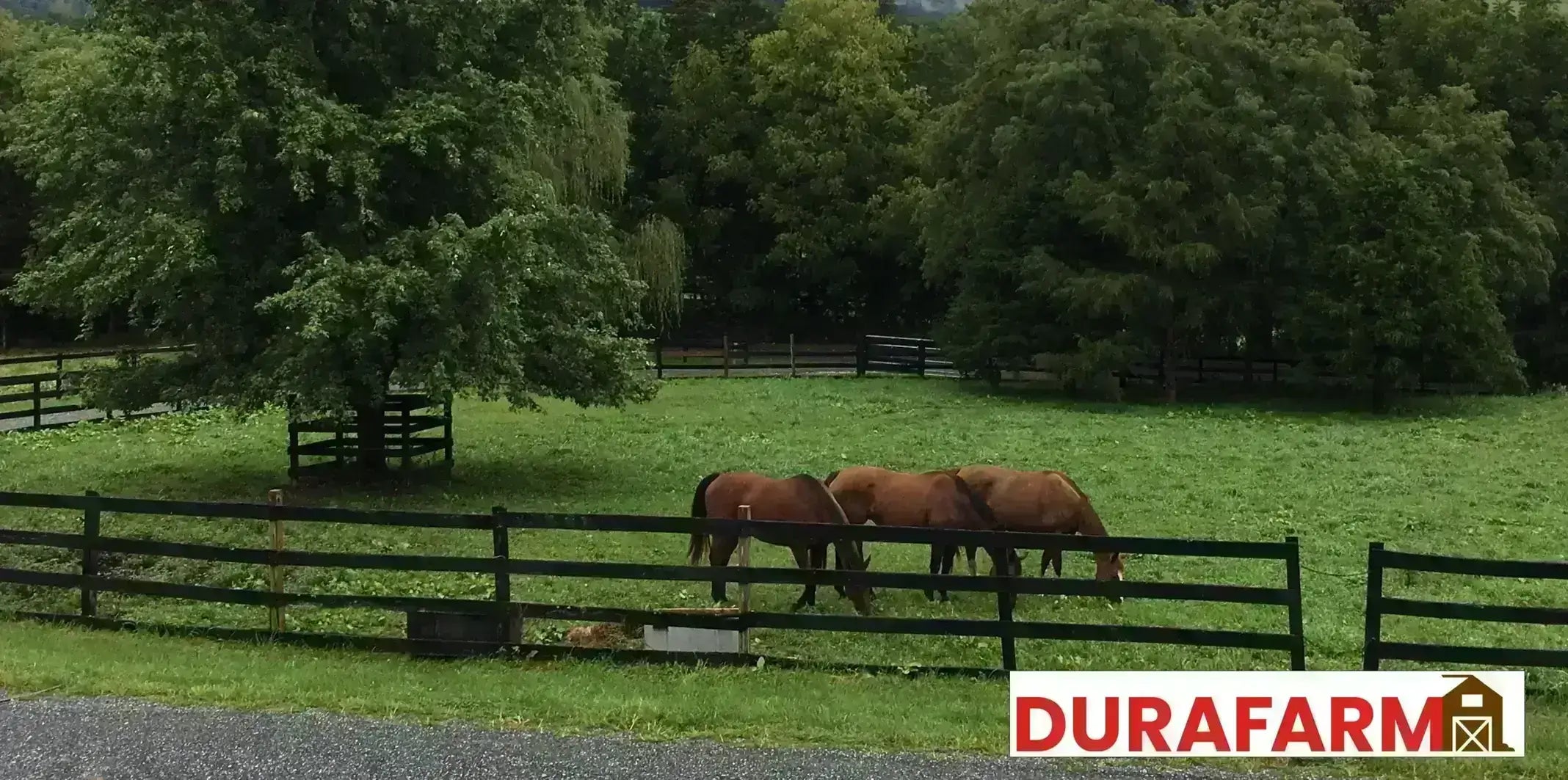 durafarm brand horse field