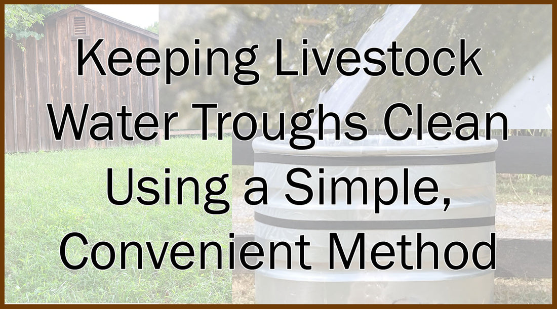 Keeping Livestock Water Troughs Clean Using a Simple, Convenient Method