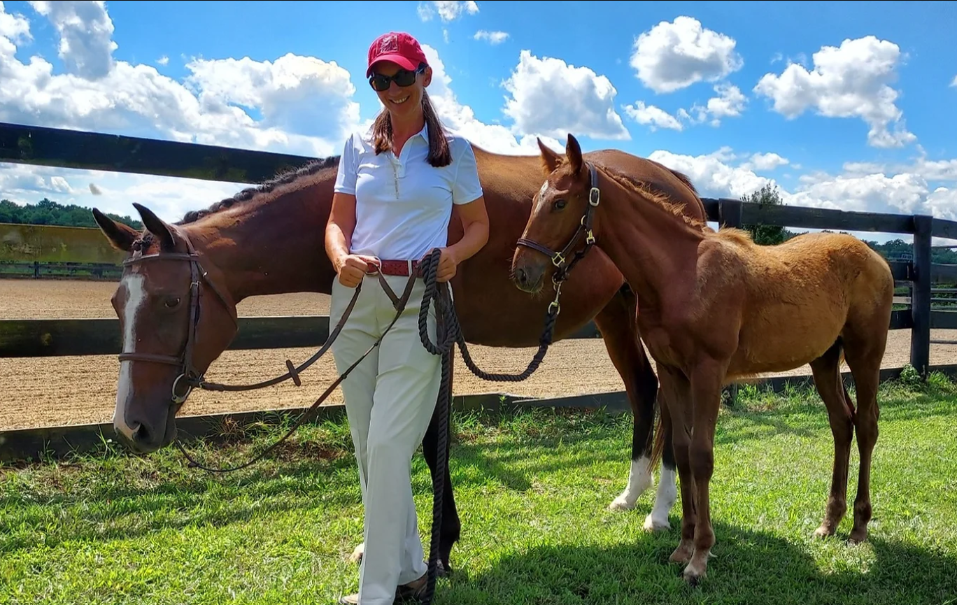 horse consulting 