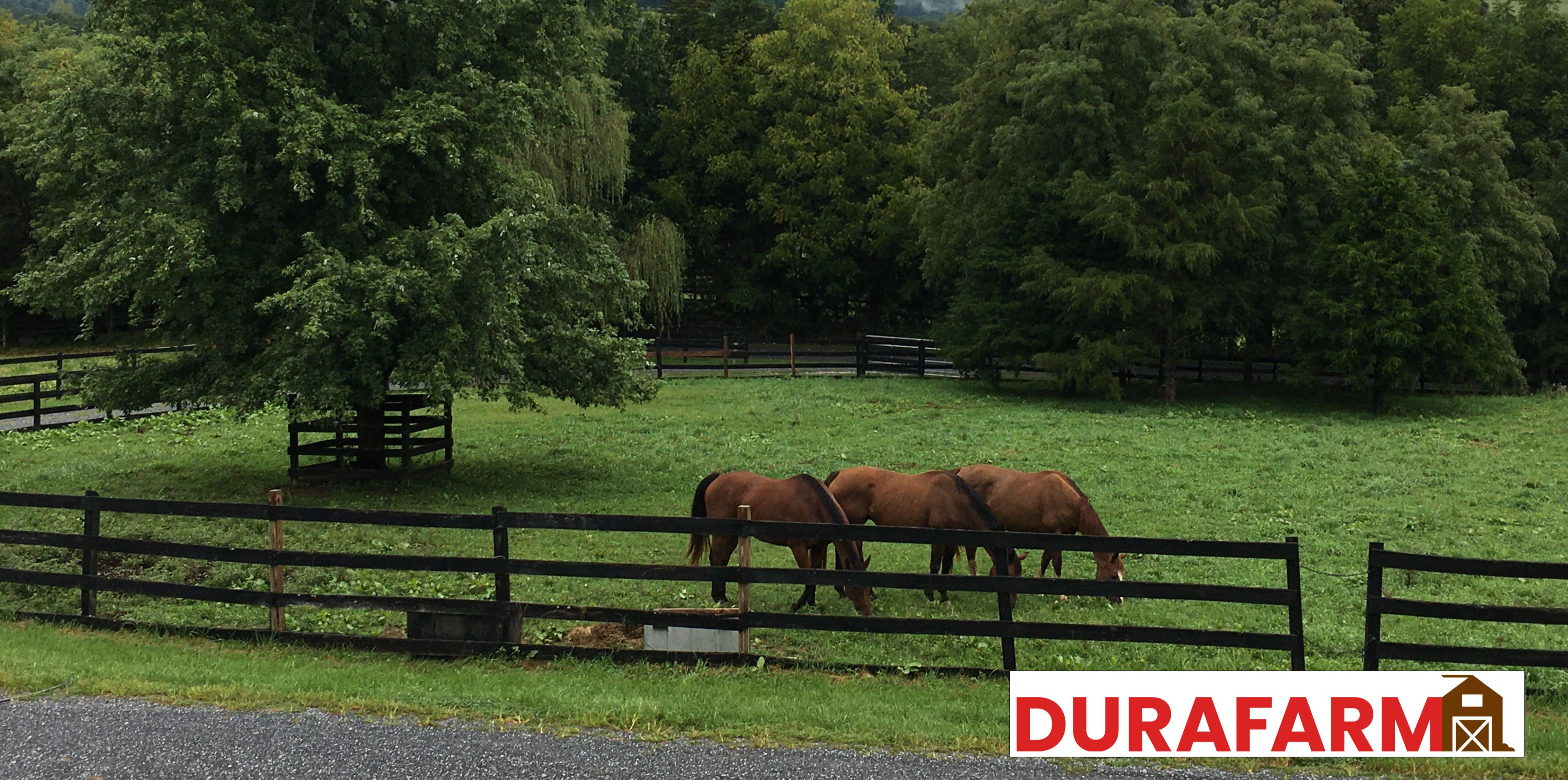 durafarm brand horse field